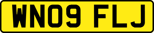 WN09FLJ