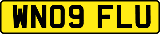 WN09FLU