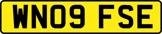 WN09FSE