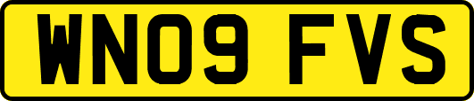 WN09FVS