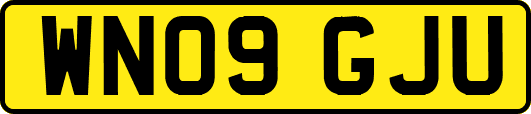 WN09GJU