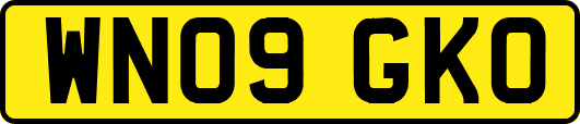 WN09GKO