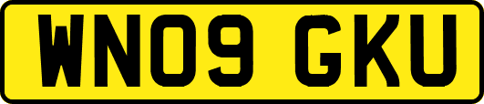 WN09GKU
