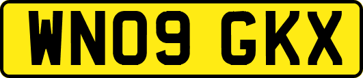WN09GKX