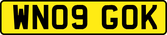 WN09GOK