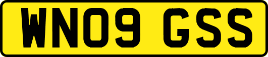WN09GSS