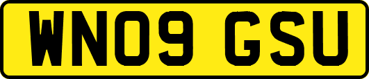 WN09GSU