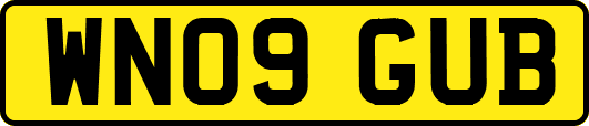 WN09GUB