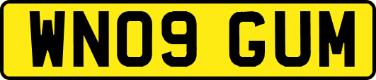 WN09GUM