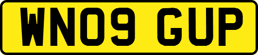 WN09GUP