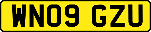 WN09GZU
