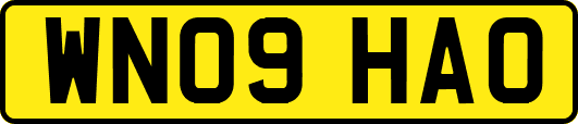 WN09HAO