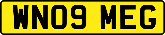 WN09MEG