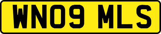 WN09MLS