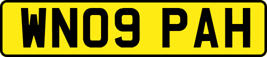 WN09PAH