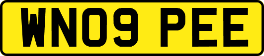 WN09PEE