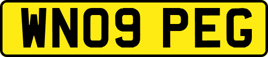 WN09PEG