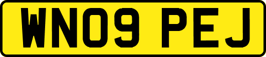 WN09PEJ