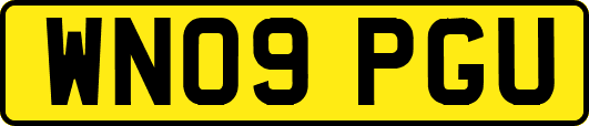 WN09PGU