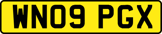 WN09PGX