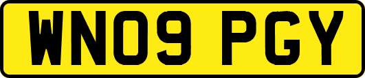 WN09PGY
