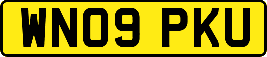 WN09PKU