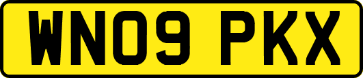 WN09PKX