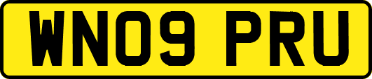 WN09PRU