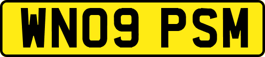 WN09PSM