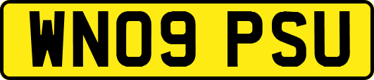 WN09PSU