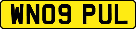 WN09PUL