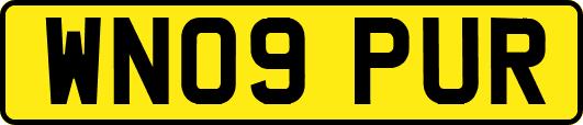 WN09PUR