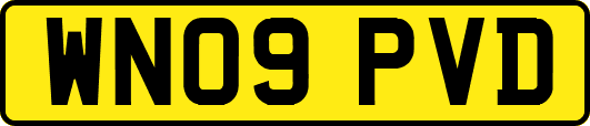 WN09PVD