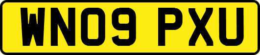 WN09PXU