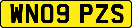 WN09PZS