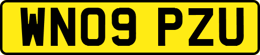WN09PZU