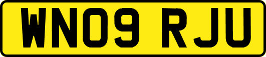 WN09RJU