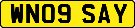WN09SAY