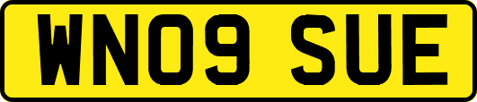 WN09SUE