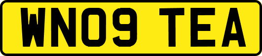 WN09TEA