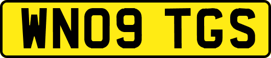 WN09TGS