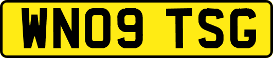 WN09TSG