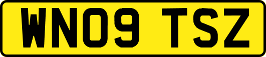 WN09TSZ