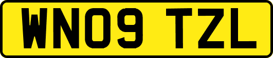 WN09TZL