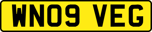 WN09VEG