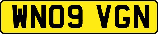 WN09VGN