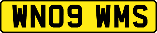 WN09WMS