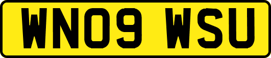 WN09WSU