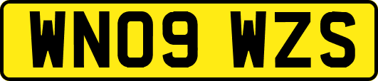 WN09WZS