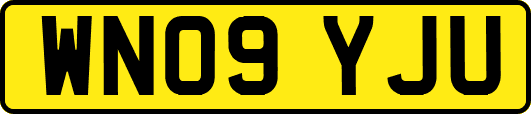 WN09YJU